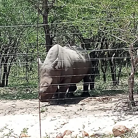 Le Lion Dort Villa Marloth Park Exterior photo