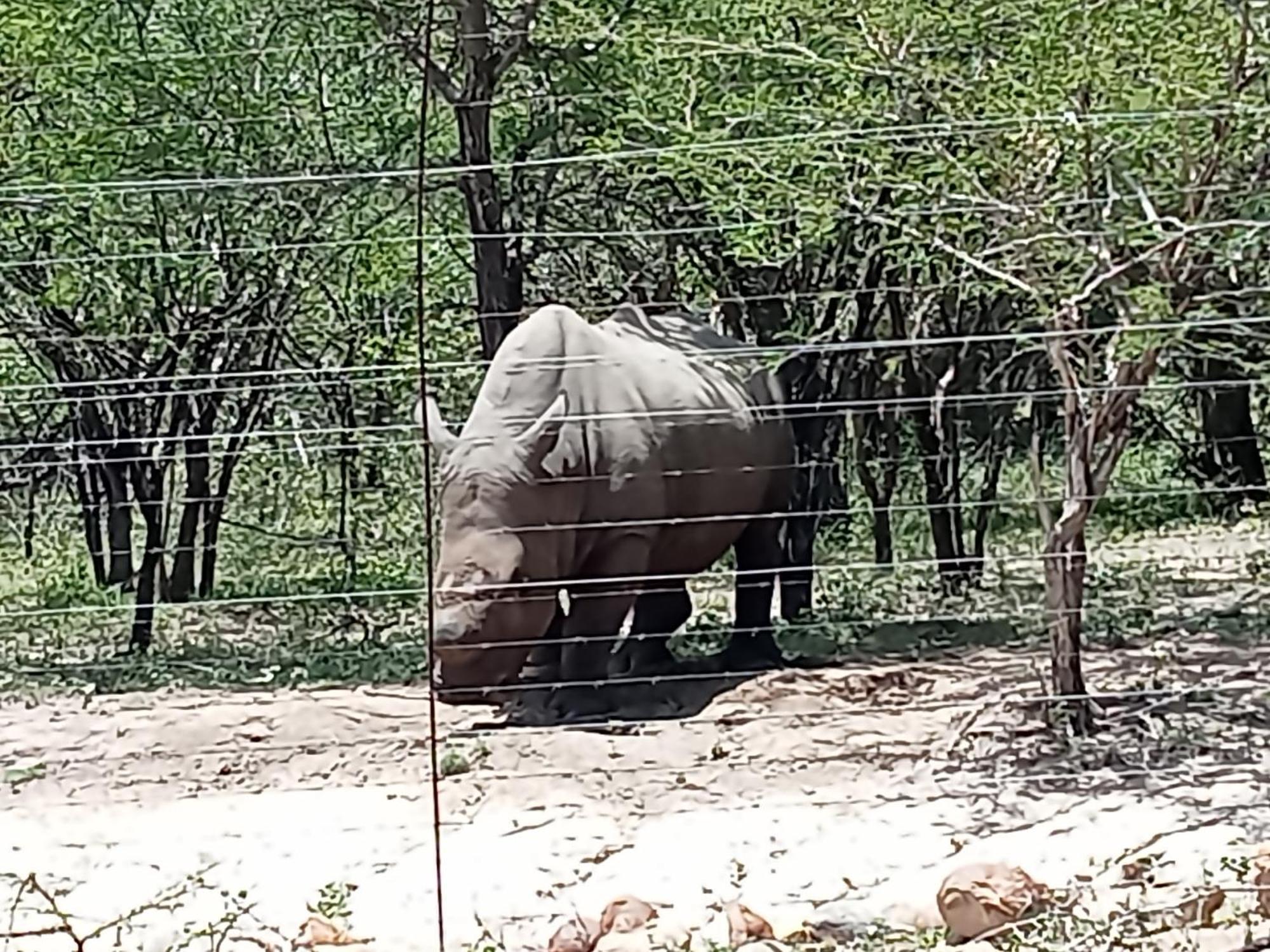 Holiday home Le Lion Dort Marloth Park